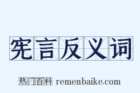 宪言反义词是什么意思的图片